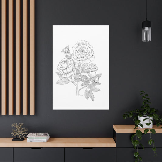 Rose Pen-Ink Canvas Wrap