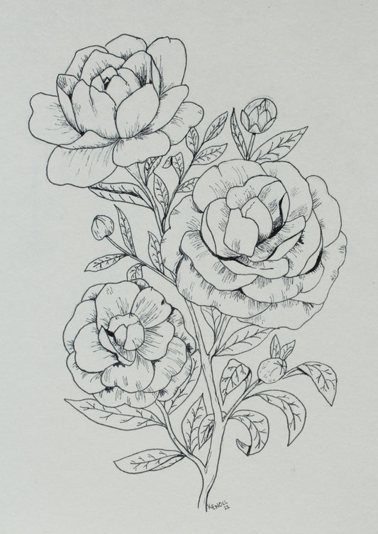 Original Pen and Ink Flowers